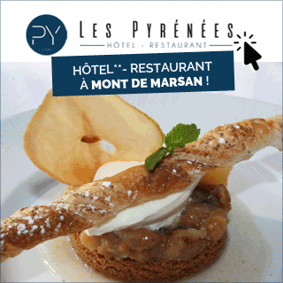 Bannière Les Pyrénées